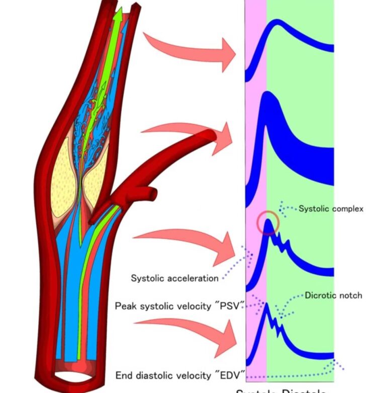 Adobestock 360641286 768x840@2x